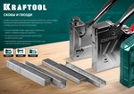 Скобы KRAFTOOL "EXPERT" 31670-08